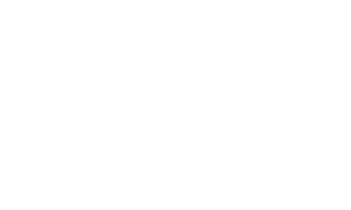 Bricks and Blocks