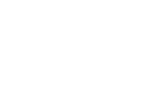 Builders  Bricks